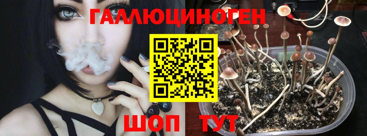 Галлюциногенные грибы MAGIC MUSHROOMS  Галлюциногенные грибы Magic Shrooms  Вход с VPN  Тобольск 